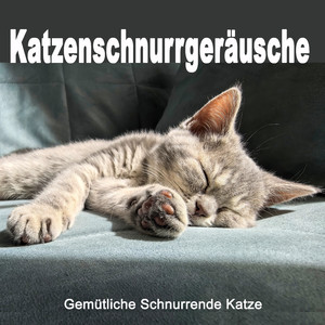 Katzenschnurrgeräusche (Loopfähig)