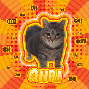oi猫攻打恭喜发财