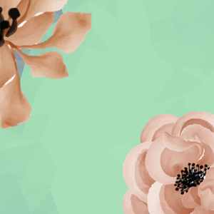 柔和的冬天的时刻时刻