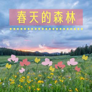 春天的森林