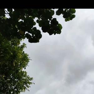 人无再少年时的怅惘