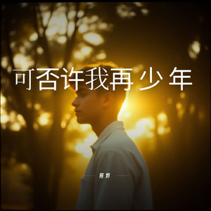 可否许我再少年