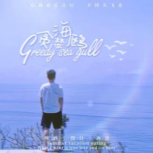 贪婪海鸥