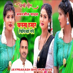 धोबी गीत बलमा हमार खिसिआई गये अमरजीत यादव