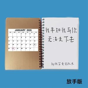 我早知我与你无法走下去（胡敏婷 / 雲隊長 remix）