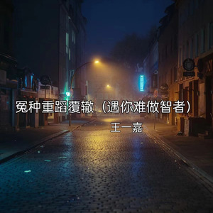冤种重蹈覆辙（遇你难做智者）