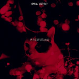有趣可爱的猫情怀