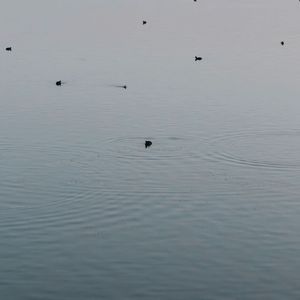 不羡仙（prod by ANei）