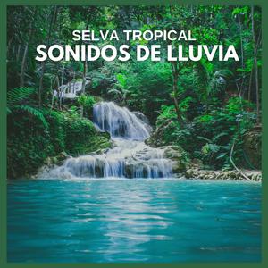 Selva Tropical: Sonidos de Lluvia (P89)