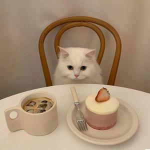 小欢喜-翻唱（翻自 刘瑞琦）