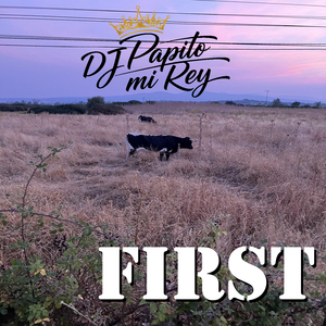 Que No Puedes Engañarme