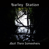 Barley Station - Waiting