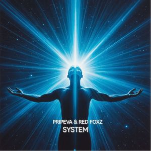 System