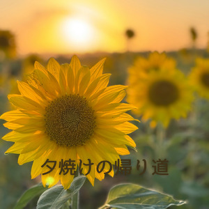 夕焼けの帰り道