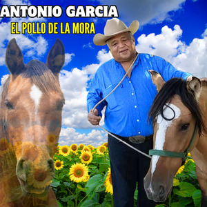 Retando a un Coplero