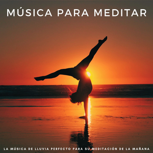 Meditación Inacabada