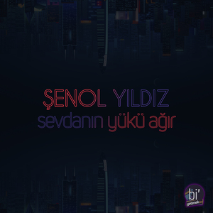 Sevdanın Yükü Ağır