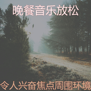 一尘不染音乐印象数