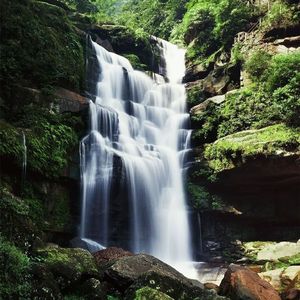 不靠谱组合-遥远的你（自由侠1019 remix）