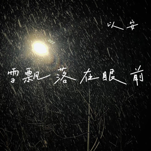 雪飘落在眼前
