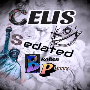 Celis "Broken Pieces"