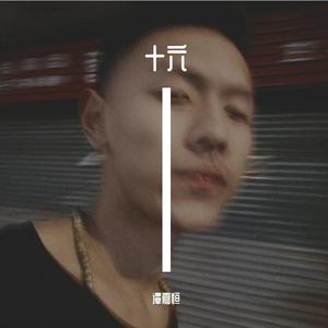 十六。 [自定义 WAV - 高质量]