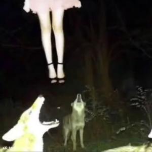 happy bday 2 me, i miss u :/