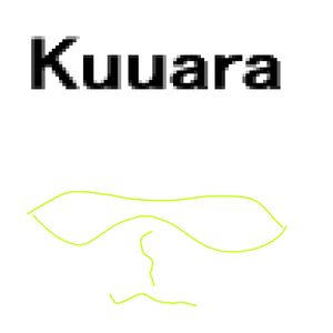 Kuuara