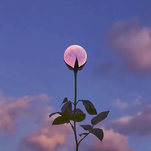 月（Prod.Gr33nartBeats）