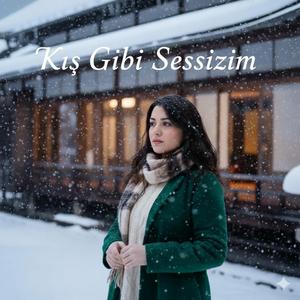 Kış Gibi Sessizim