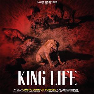 KinG LiFE