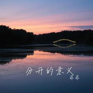 分开的意义 (Cover 徐暖暖)