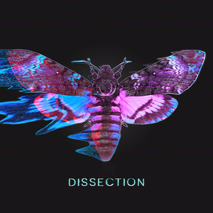 Dissection