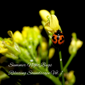 Nature Bugs Sleeping Music