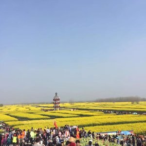 街灯晚餐（Cover 卫兰）