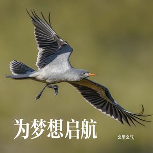 为梦想启航