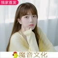 极品越南DJ翻唱网络伤感情歌小串烧