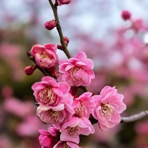 当时只道是寻常.wav