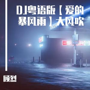 爱的暴风雨DJ粤语版 大风吹抖音版