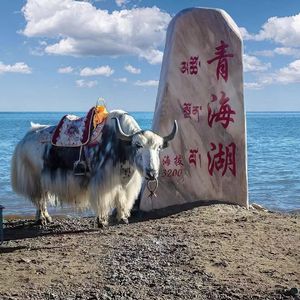 西北
