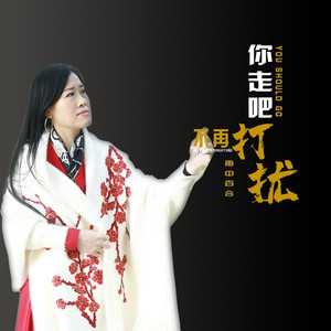 你走吧不再打扰你 (伴奏)