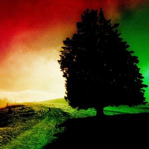 U live in a Shadow (Potochkine Remix)