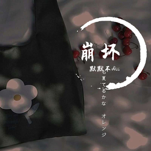 崩坏 (Prod. by 房间里的大象)