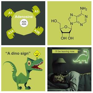 Adenosine (Outlaw Country Version)