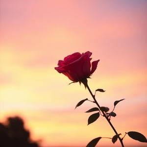 별이 된 아빠