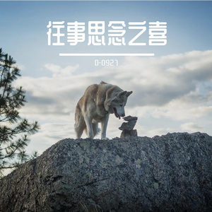 往事思念之喜 伴奏