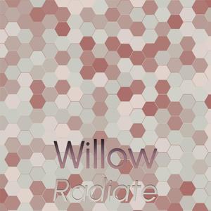 Zhongshan Diradiation