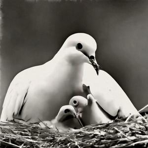 Cover Me (feat. Branchey)