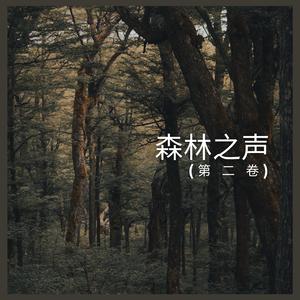 森林之声 (第 二 卷),43部
