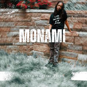 MONAMI